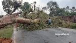 Weather warning for Haryana, weather alert haryana